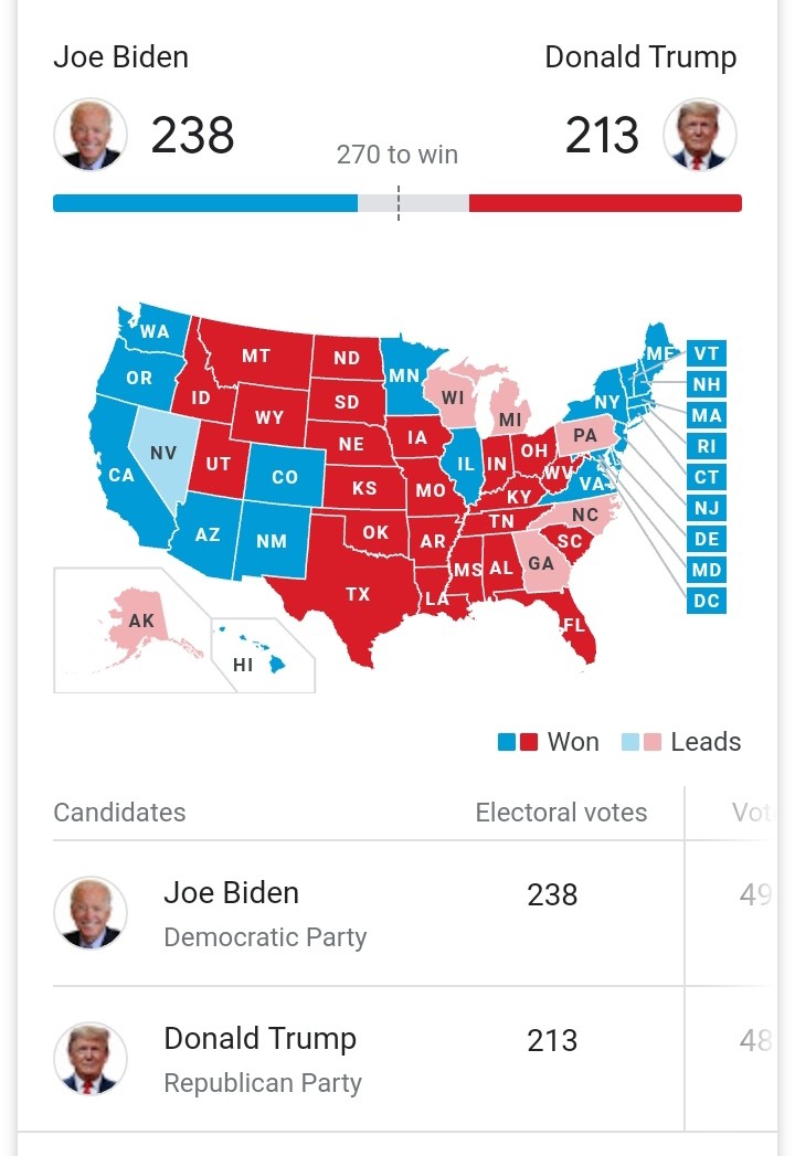 American Vote Result