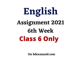 class 6 English assignment 2021
