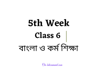 class 6 assignment 5th week