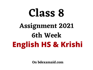 class 8 6th week assignment